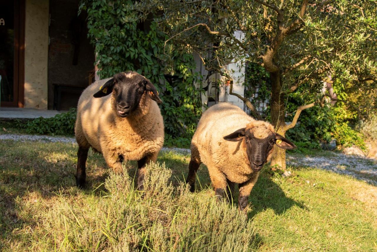 Agriturismo Cascina Costa Cassago Brianza Eksteriør billede